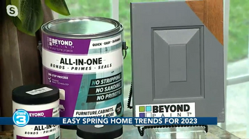 Beyond Paint Featured on WSAZ News Channel 3