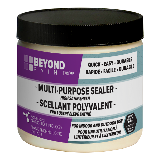 Multi Purpose Sealer Beyond Paint